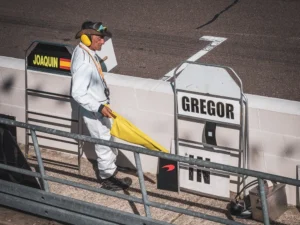 Gregor print