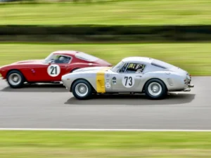 Two Ferrari 250 GT SWB's